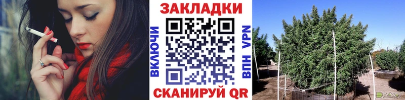 Сколько стоит Лодейное Поле Кокаин  Метамфетамин  Гашиш  МЕФ  А ПВП 