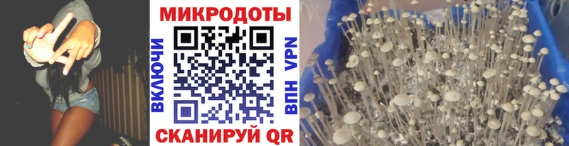 сайты даркнета формула где купить наркоту Лодейное Поле Галлюциногенные грибы мухоморы