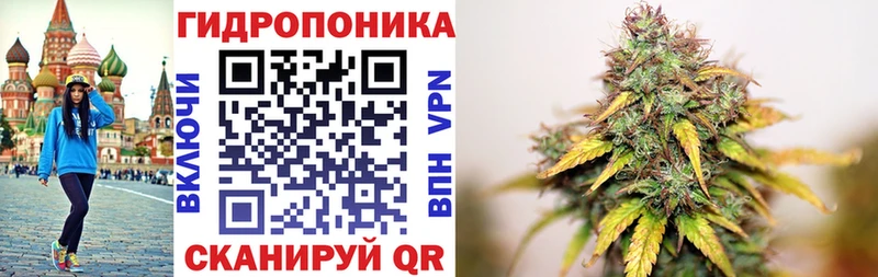 Шишки марихуана план  Лодейное Поле 